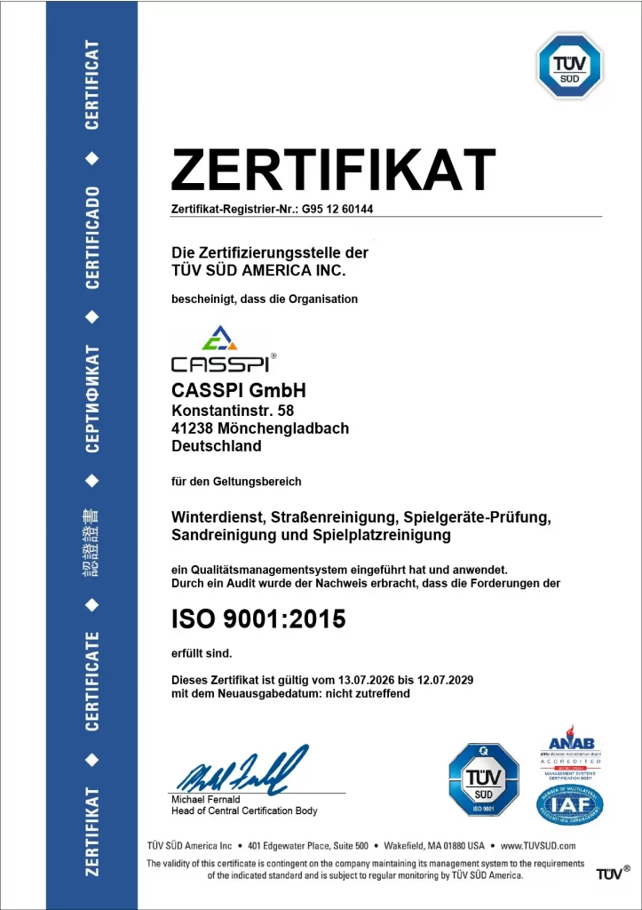 Casspi iso 9001 qm